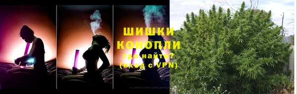 молекула духа Баксан