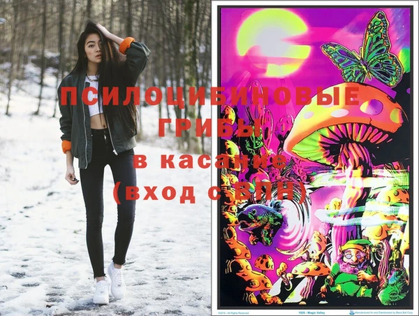 молекула духа Баксан