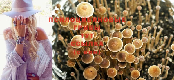 дживик Балахна