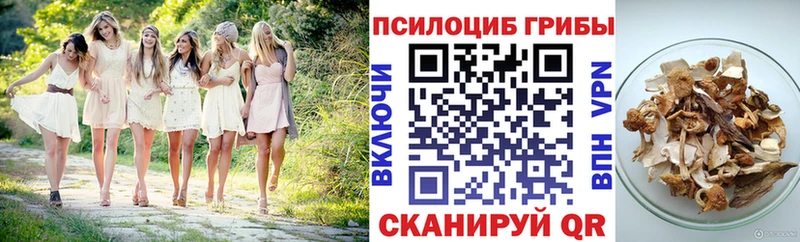 где найти   Петухово  omg   Псилоцибиновые грибы Psilocybine cubensis 
